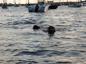 161 Owens Beach- Bailey & Gunner