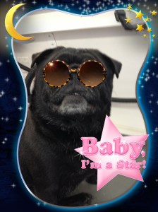 baby i'm a star