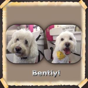 Bently