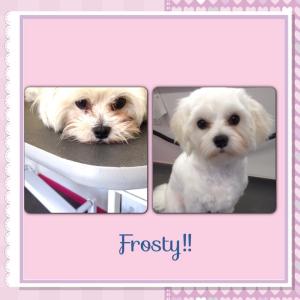 frosty