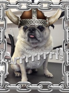 i am king
