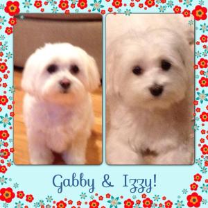 Izzy & Gabby