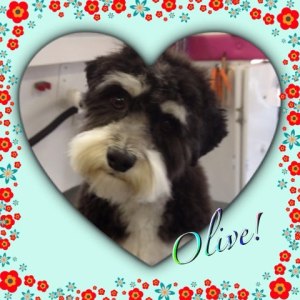 Olive
