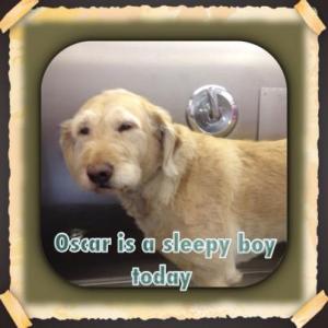 oscar
