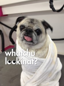 whatcha lookin at