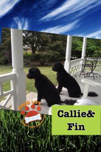 Callie and Fin