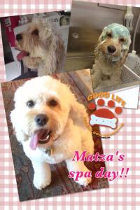 Matza's spa day!