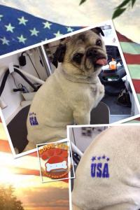 oscar usa